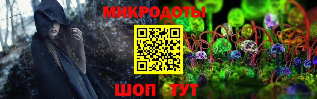 Галлюциногенные грибы GOLDEN TEACHER  Вход с VPN  Кудрово 