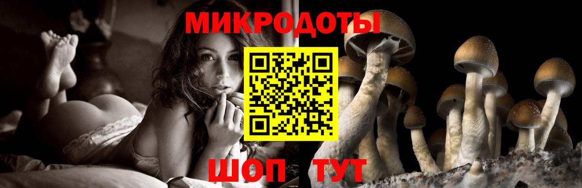 Псилоцибиновые грибы ЛСД Кудрово